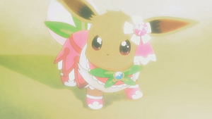 XY112 - Évoli de Serena (Flash-back).png