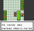 L'herboristerie de Pokémon Or, Argent et Cristal.