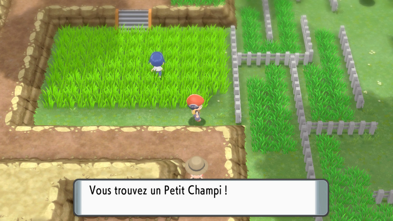 Fichier:Route 214 Petit Champi DEPS.png