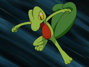 AG014 - Arcko de Sacha.png