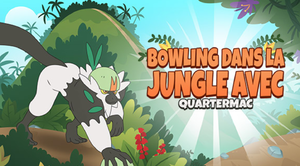 Image d'accueil - Bowling dans la jungle avec Quartermac - Jeu en ligne.png