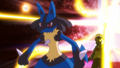 Lucario (de Sacha)