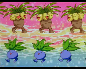 Mini-Film 01 - Intermède Noadkoko et Mystherbe.png