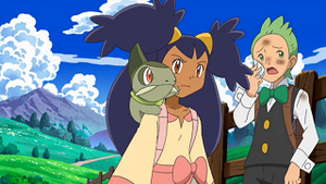 NB012 - Coupenotte d'Iris.png