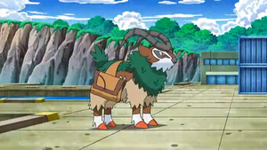 NB140 - Chevroum d'Alexia.png