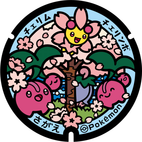 Fichier:Poké Lid 400 Sagae.png