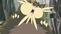 Rattatac d'Alola (Pokémon Dominant)