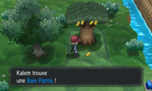 Route 18 Baie Parma XY.png