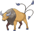 0128 - Tauros