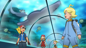 XY022 - Qwilfish et Démanta.png