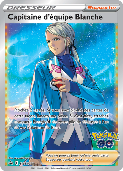 Fichier:Carte Promo SWSH SWSH227.png