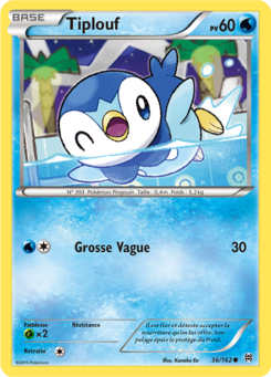 Tiplouf (XY Impulsion TURBO 36)