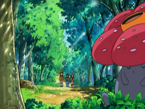 DP071 - Rafflesia.png