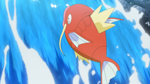 LV140 - Magicarpe.png