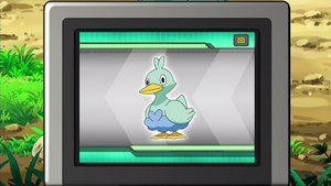 NB020 - Couaneton Pokédex.png