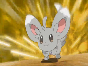 NB040 - Chinchidou de Bianca.png