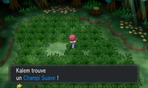Route 20 Champi Suave XY.png