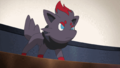 Zorua (de Luke)