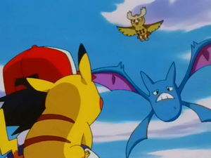 Épisode 221 - Erreur Nostenfer.png