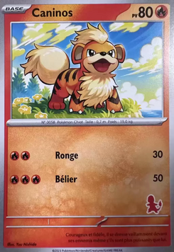 Caninos (Mon premier combat Salamèche)