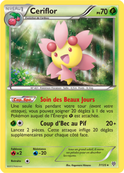 Ceriflor (Noir & Blanc Tempête Plasma 7)