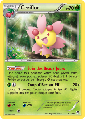 Carte Noir & Blanc Tempête Plasma 7.png