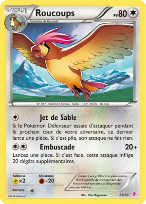 Carte XY Kit du Dresseur Grodoudou 23.png