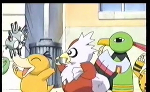 Fête - Magnéton, Cadoizo et Xatu Sauvages.png