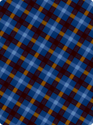 Fond Carte 4 HOME.png