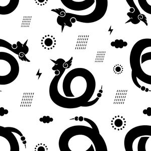 Motif Draco Pokémon Shirts.jpg