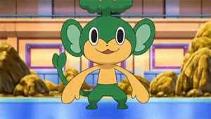 NB005 - Feuillajou de Rachid.png