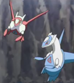 Latias (sauvage)