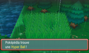 Route 119 Hyper Ball ROSA.png