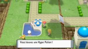 Route 213 Hyper Potion DEPS.png
