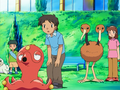 Octillery et Doduo (de Dresseurs)