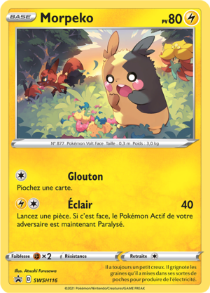 Carte Promo SWSH SWSH116.png