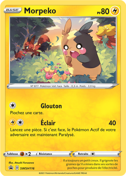 Fichier:Carte Promo SWSH SWSH116.png