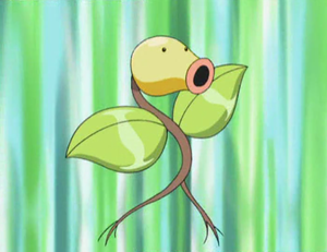 Chétiflor de Roderick.png