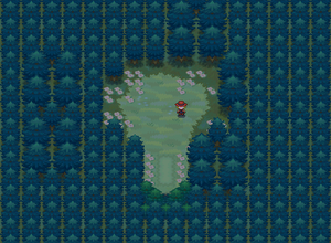 Forêt d'Empoigne Clairière Réflexion N2B2.png