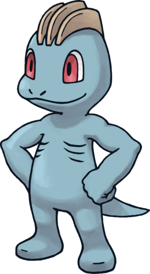 Machoc-PDMRB.png