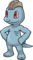 Artwork pour Pokémon Donjon Mystère : Équipe de Secours Rouge et Bleue.