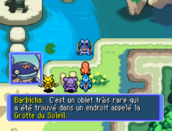 Il remet au joueur la CS Plongée qu'il a trouvée dans la Grotte du Soleil.