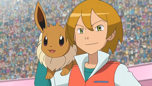 NB108 - Évoli de Virgile.png