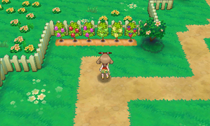 Route 123 Arbres à Baies 1 ROSA.png