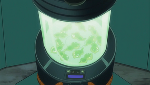 XY129 - Cellules de Zygarde.png