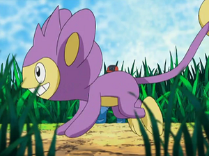 DP140 - Capumain.png