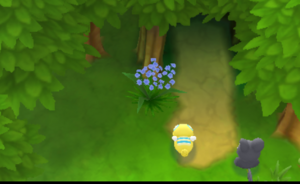 Forêt Bigarrée (4) PDMPI.png