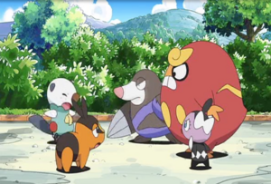 Mini-Film 16 - Rototaupe, Darumarond et Scrutella.png