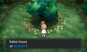 Route 20 Antidote XY.png