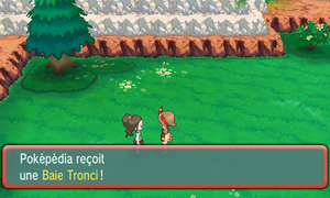 Atalanopolis Baie Tronci ROSA.png